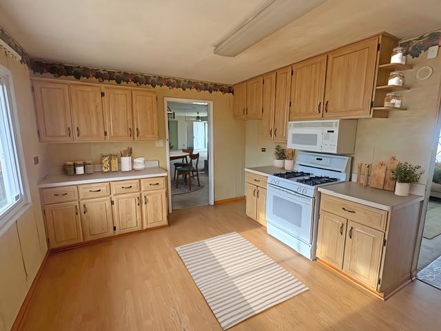 202 E Rose Street, Glenwood, IL 60425