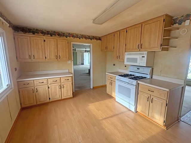 202 E Rose Street, Glenwood, IL 60425