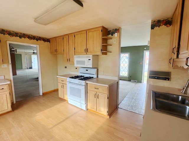 202 E Rose Street, Glenwood, IL 60425