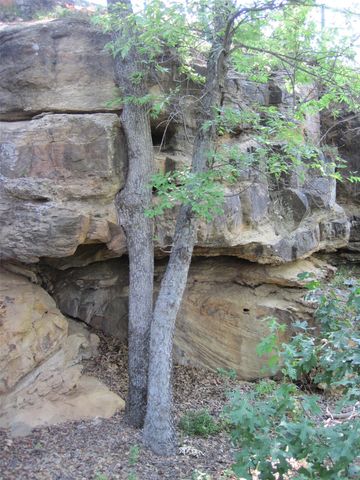 2016 N Lakeview Drive, Palo Pinto, TX 76484