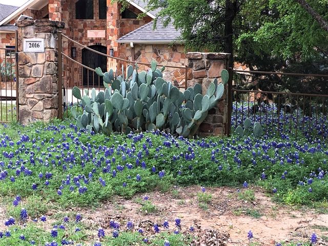 2016 N Lakeview Drive, Palo Pinto, TX 76484