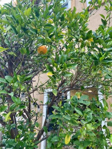 12891 Mackenzie Drive, Tustin, CA 92782