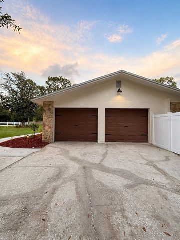 17238 BRIDLEPATH COURT, Lutz, FL 33558
