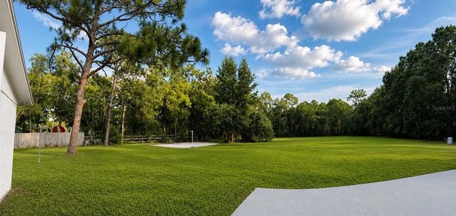 17238 BRIDLEPATH COURT, Lutz, FL 33558