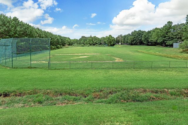 30613 Johnson Alley, Magnolia, TX 77355