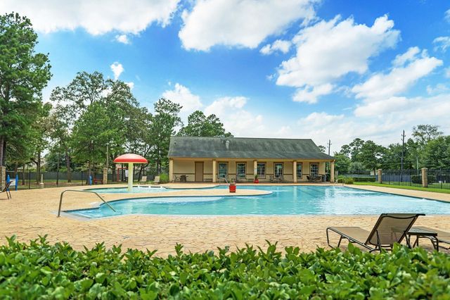 30613 Johnson Alley, Magnolia, TX 77355