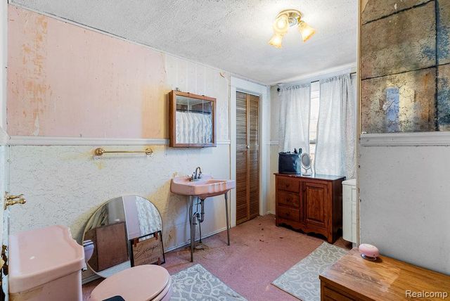 311 N Main Street, Webberville Village, MI 48892