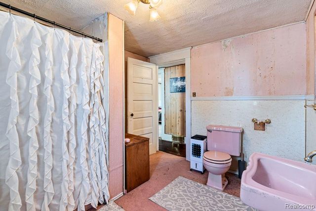 311 N Main Street, Webberville Village, MI 48892