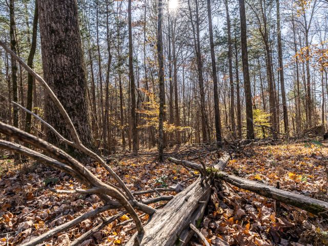 0 Adcock Rd, Ashland City, TN 37015