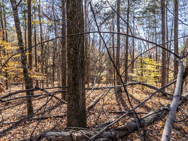 0 Adcock Rd, Ashland City, TN 37015