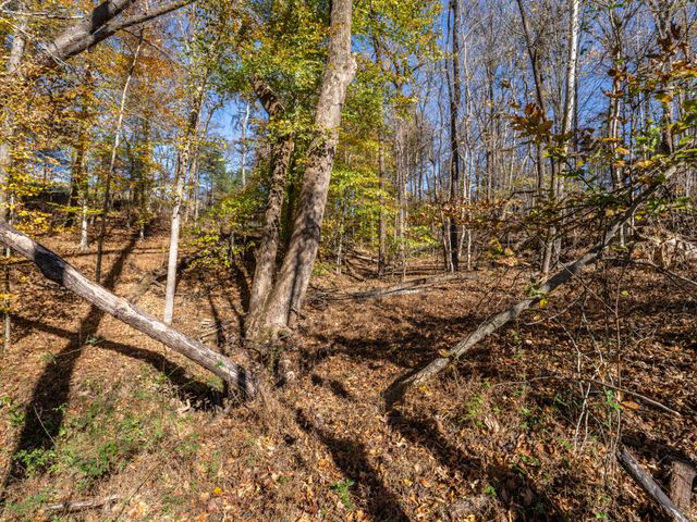 0 Adcock Rd, Ashland City, TN 37015