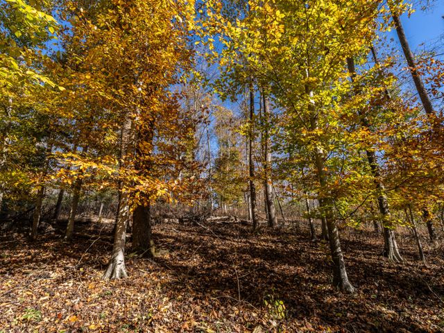 0 Adcock Rd, Ashland City, TN 37015