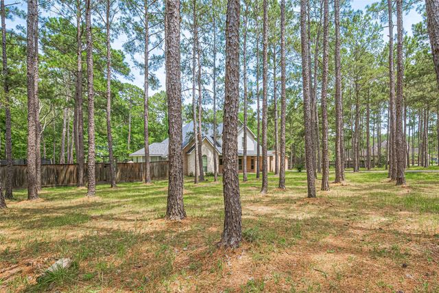 31630 Spinnaker Run, Magnolia, TX 77354