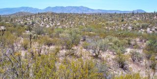 3C Ranch Road, San Manuel, AZ 85631