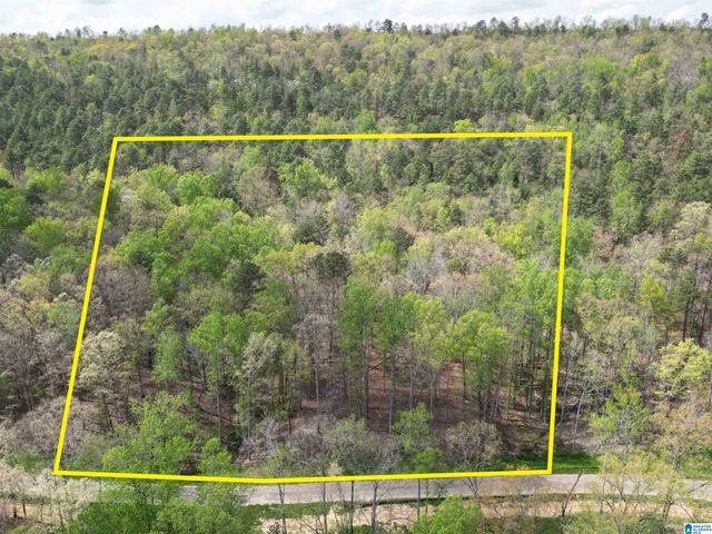 325 WINCHESTER PASS, Birmingham, AL 35242