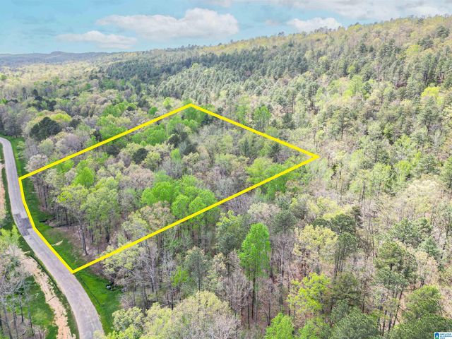 325 WINCHESTER PASS, Birmingham, AL 35242