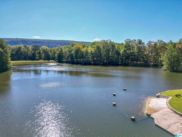 325 WINCHESTER PASS, Birmingham, AL 35242