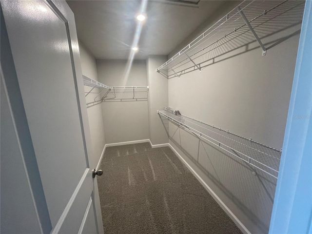 26068 WOVEN WICKER BEND, Lutz, FL 33559