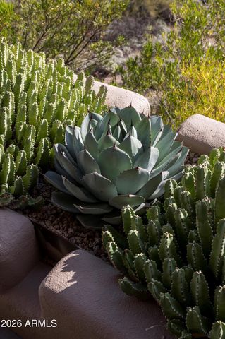 9795 E FORGOTTEN HILLS Drive, Scottsdale, AZ 85262