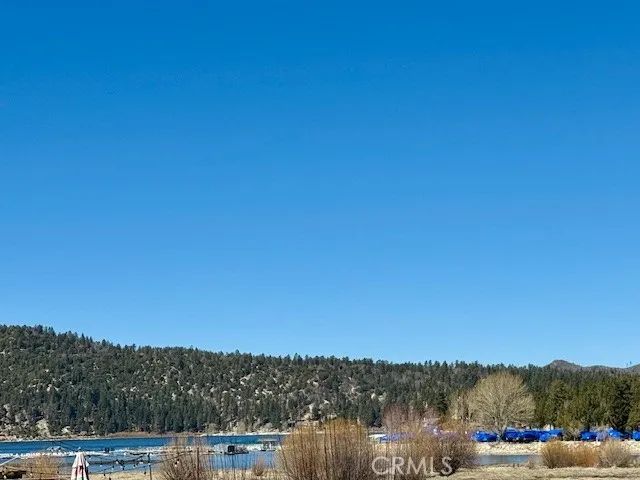 665 Metcalf, Big Bear Lake, CA 92315