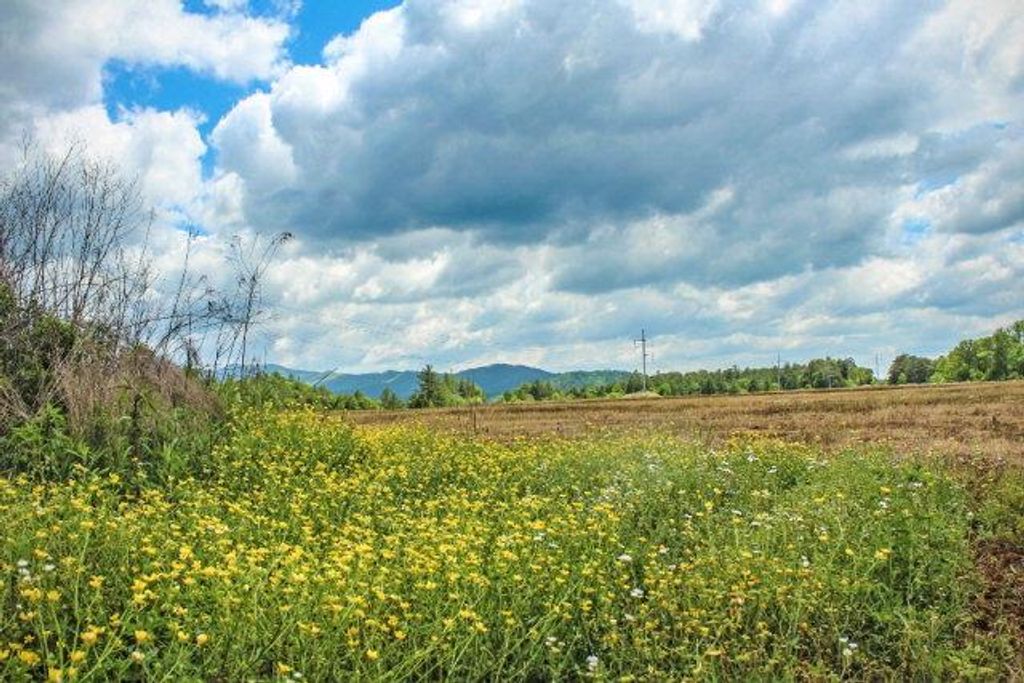 00 Hwy 64 E, Murphy, NC 28906