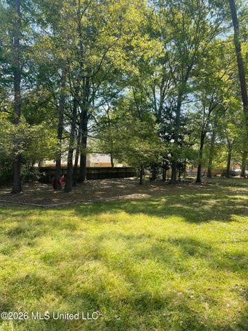 215 Ridgeview Drive, Carriere, MS 39426