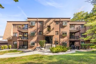 393 Duane Street 203, Glen Ellyn, IL 60137