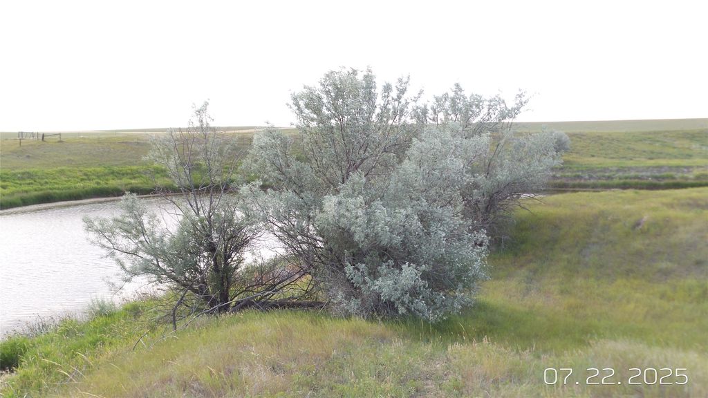 8377 Us Hwy 89, Great Falls, MT 59405 photo 64