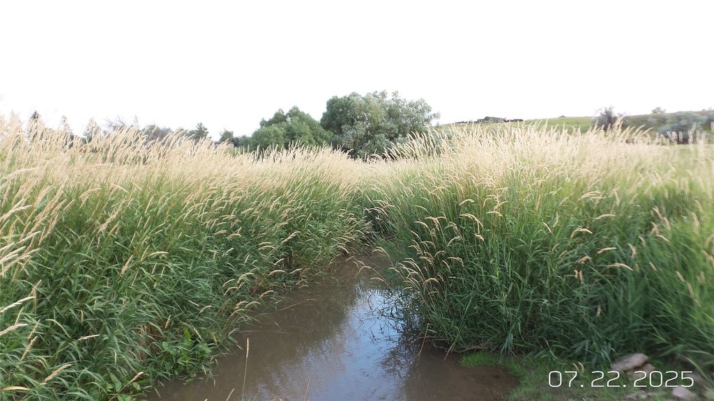 8377 Us Hwy 89, Great Falls, MT 59405 photo 77