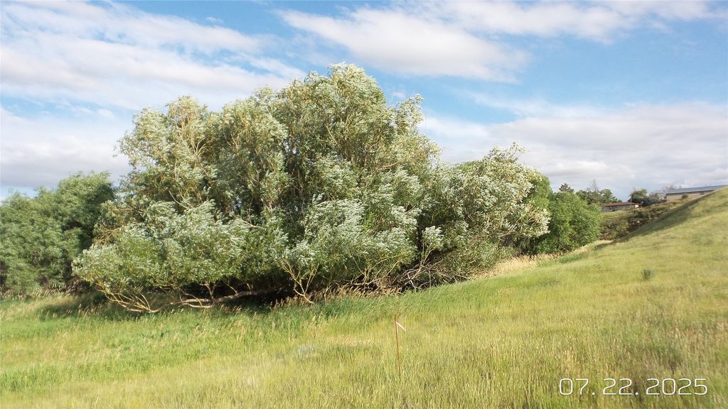 8377 Us Hwy 89, Great Falls, MT 59405 photo 80