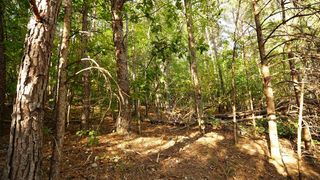 Lot 6 Eden Park Drive, Rocky Face, GA 30740