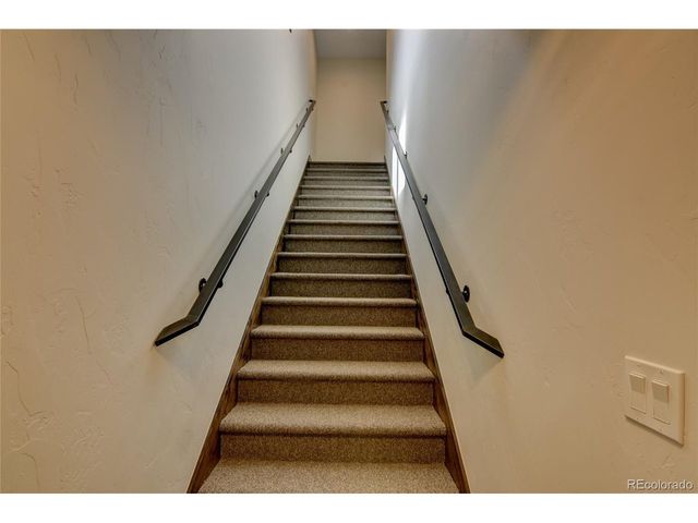 30009 Creek Run, Buena Vista, CO 81211