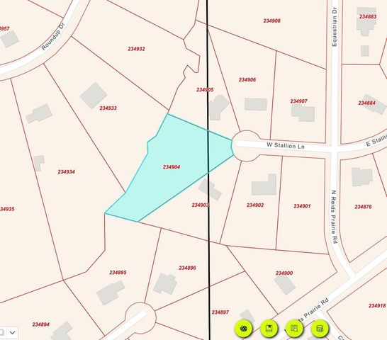 30000 W Stallion Lane, Waller, TX 77484