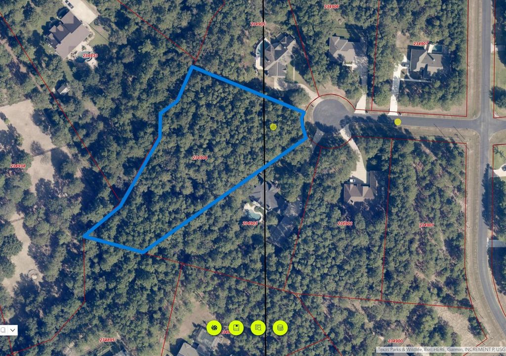 30000 W Stallion Lane, Waller, TX 77484