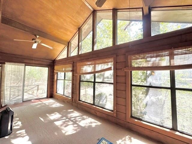 1347 Cardinal Lane, Trinity, TX 75862