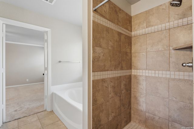 14102 Silver Charm, San Antonio, TX 78248