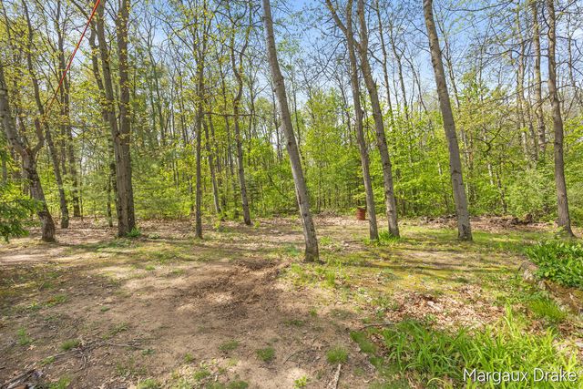 17225 Apache Trail, Howard City, MI 49329