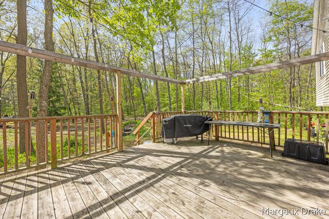 17225 Apache Trail, Howard City, MI 49329