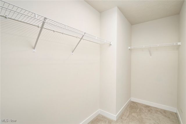 2767 Steeb Circle, Norton, OH 44203