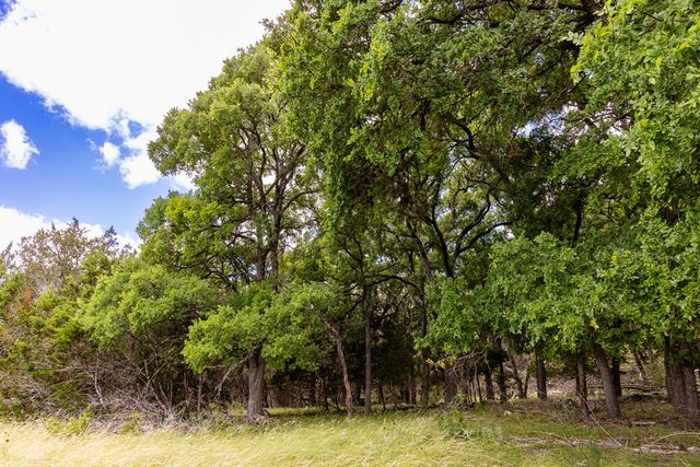 289 Hoot Owl Hollow Rd, Ingram, TX 78025