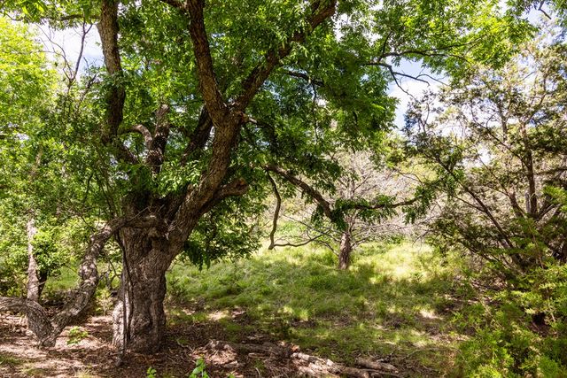 289 Hoot Owl Hollow Rd, Ingram, TX 78025