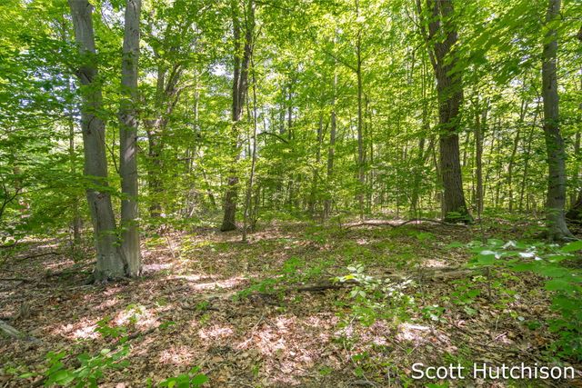 2710 12 Mile Road NE, Rockford, MI 49341