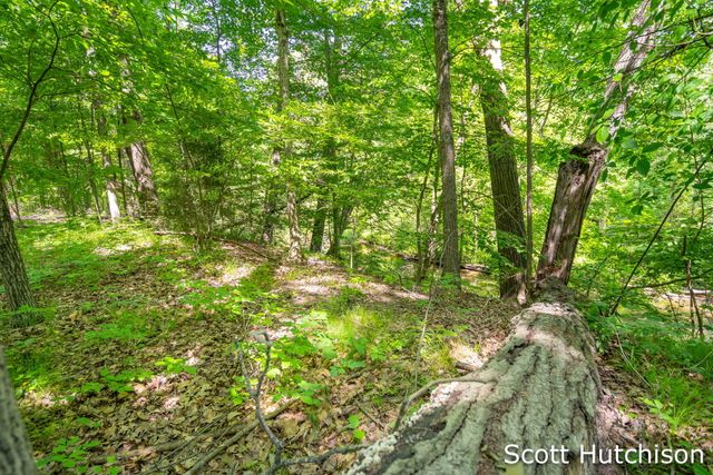 2710 12 Mile Road NE, Rockford, MI 49341