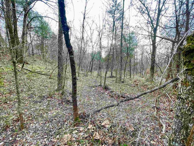 122 Runway Lane, Salem, AR 72576