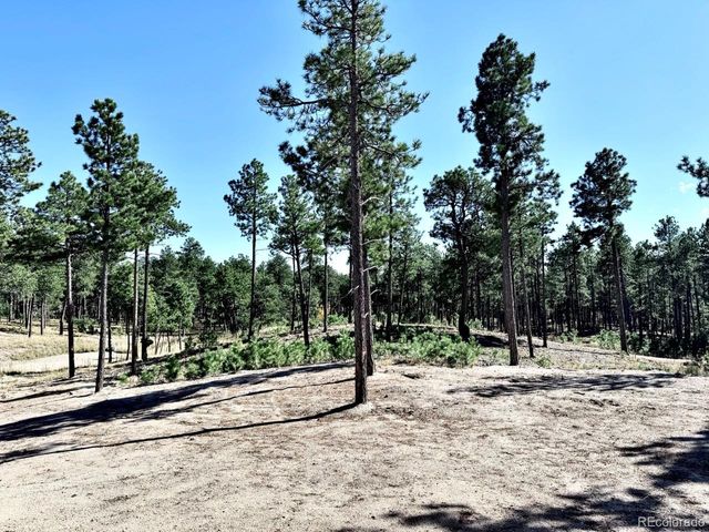 3145 Promise Point, Colorado Springs, CO 80921