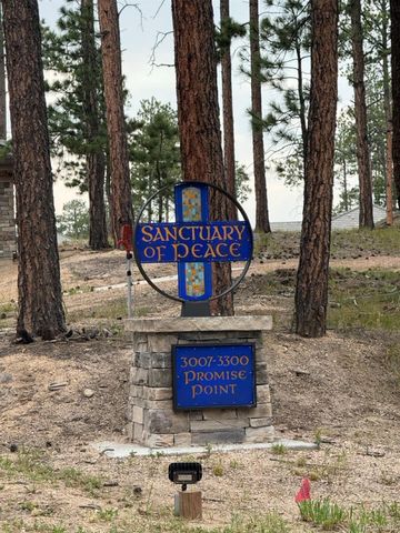 3145 Promise Point, Colorado Springs, CO 80921