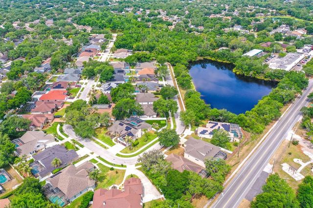 2539 CENTENNIAL FALCON DRIVE, Valrico, FL 33596