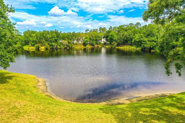 2539 CENTENNIAL FALCON DRIVE, Valrico, FL 33596
