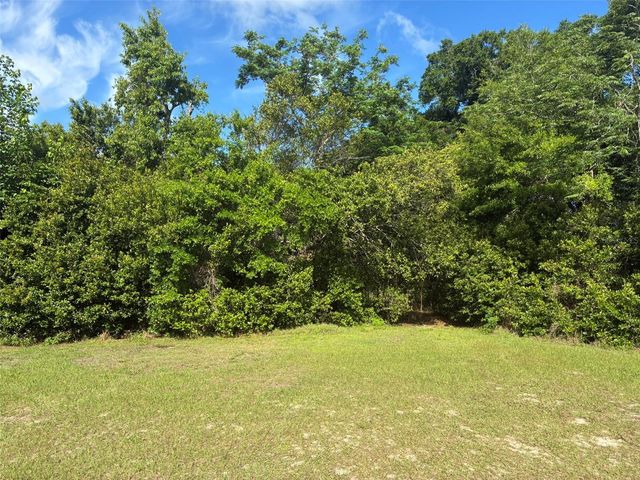 3752 N ORANGE BLOSSOM TRAIL, Mount Dora, FL 32757