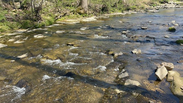 999 Kilburn Hollow Rd, Waynesboro, TN 38485